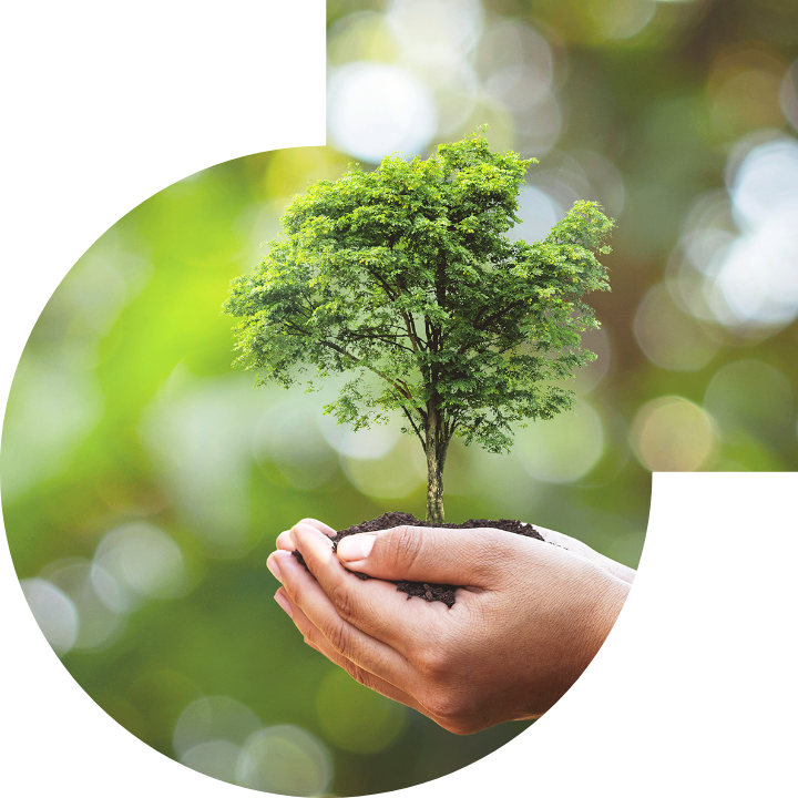 关怀人类、文化、环境与社会